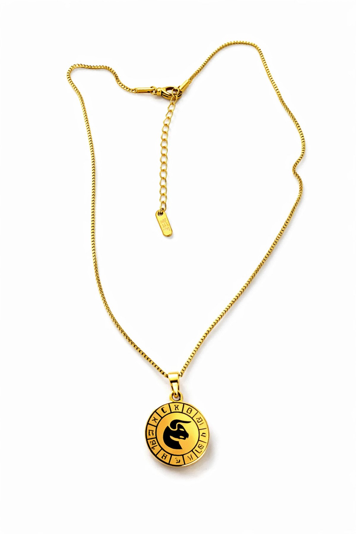 BOĞA BURCU ÇELİK KOLYE