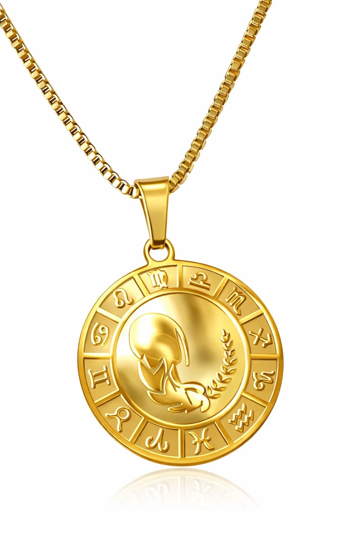 BAŞAK BURCU ÇELİK KOLYE